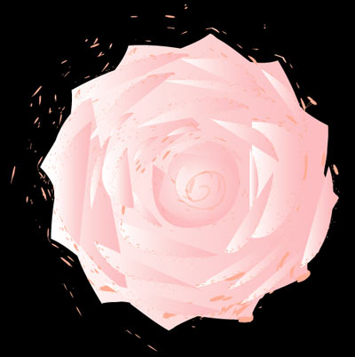 Pale Rose - Graphic Design with Adobe Illustrator