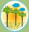 Palm Trees 2 - Graphic Design with Adobe Illustrator