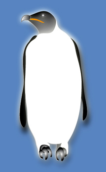 Penguin - Graphic Design with Adobe Illustrator