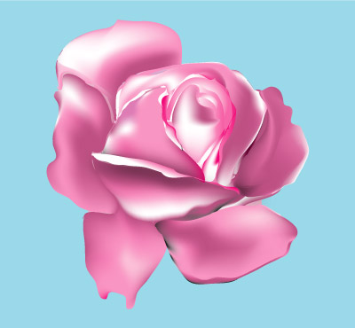Pink Rose - Graphic Design with Adobe Illustrator