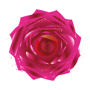 Red Rose - Graphic Design with Adobe Illustrator