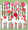 Picket fence with Roses
