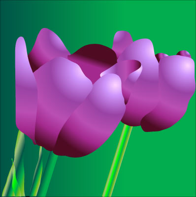 Tulips - Graphic Design with Adobe Illustrator