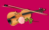 Violin and Rose