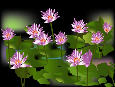 Water Lilies - Graphic Design with Adobe Illustrator